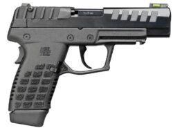 P15 9mm 4.0" Blk (2)10-rd CA